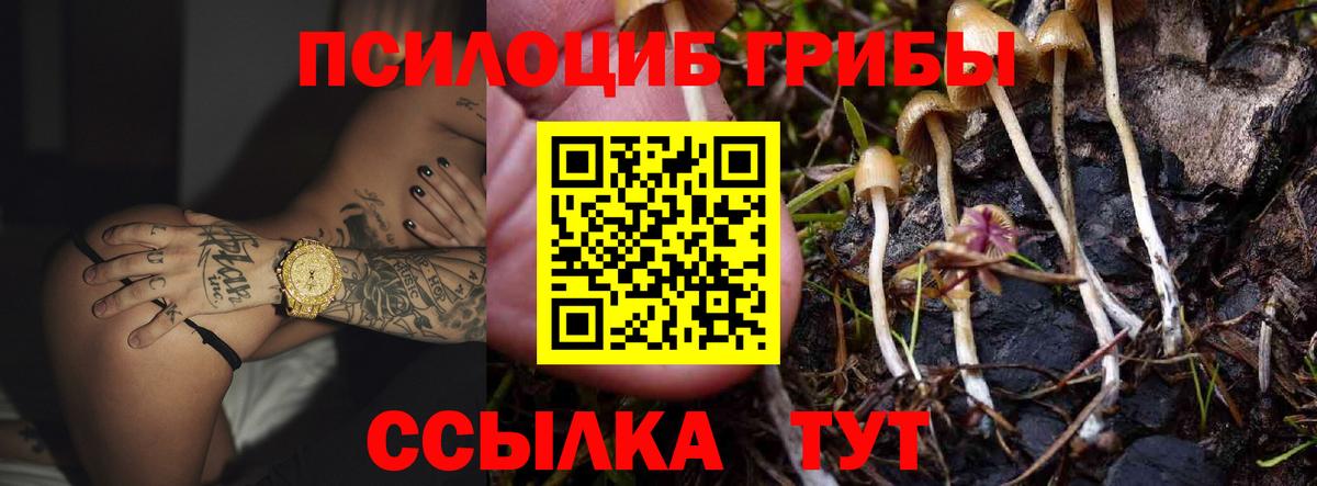 Галлюциногенные грибы Cubensis  наркота  Моздок  Псилоцибиновые грибы GOLDEN TEACHER  Вход с VPN 